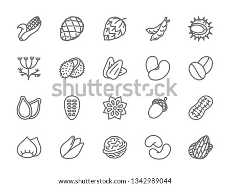 Set of Nuts, Seeds and Vegetables Line Icons. Corn Cob, Hop Cone, Peas, Chestnut, Dill, Coconut, Beans, Badian Grains, Acorn, Peanut, Walnut and more. Pack of 48x48 Pixel Icons