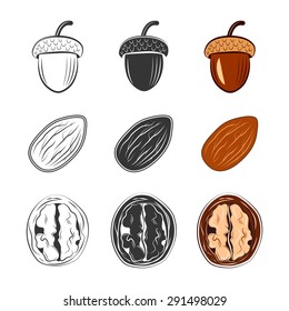 a set of nuts. walnut, almond, acorn, 