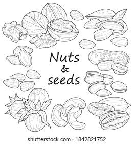 
Set of nuts.
Walnut, almonds, peanuts, pistachios, pecans, cashews, hazelnuts, sunflower seeds, pumpkin seeds.Coloring book antistress for children and adults.Zen-tangle style.Black and white drawing