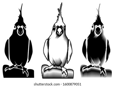 Set of nymphicus in different types- die cut, engraved and whith strokes, isolated on white background. Cockatoo Family. Simple Illustration. Vector. Perfect for logo or wall art. 