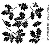 Set oak branches with leaves and acorns, black silhouettes on white background. Vector