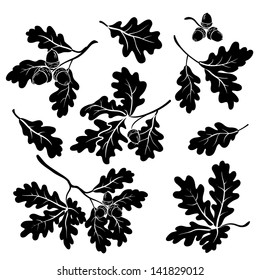 Set oak branches with leaves and acorns, black silhouettes on white background. Vector