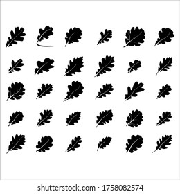 Set oak branches with leaves and acorns, black silhouettes on white background. Vector