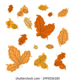 A set of oak branches with leaves and acorns, black outline, orange and yellow strokes on a white background. Vector. Hand-drawn illustration.