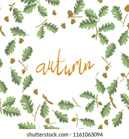 Set oak branches with leaves and acorns,Vector