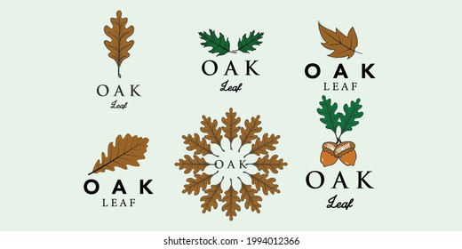 set oak leaf. Autumn vector object isolated on white design