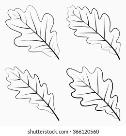 Set Oak Leaf. Black Silhouette on White Background. Vector