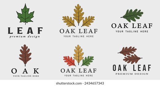 set of oak leaf logo vintage vector illustration template icon graphic design
