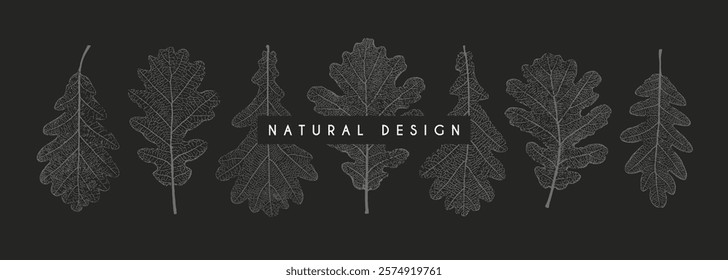 Set of oak leaves of different shape and texture. Botanical elements for background, wallpaper, card, pattern, print, wedding invitation. Vector illustration.