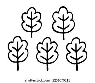 Set of oak leaves. Floral elements. Outline ink hand drawing. Can be used for textile, wallpaper, pattern. Isolated vector illustration on white background.