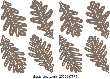 Set of oak leaves with grainy texture