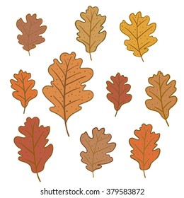 Set of oak leaves isolated on white background. Can be used for wallpaper, pattern fills, greeting cards, webpage backgrounds, wrapping paper or fabric. Vector illustration. EPS 10.