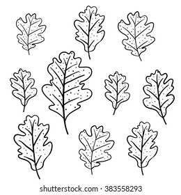 Set of oak leaves isolated on white background. Can be used for wallpaper, pattern fills, greeting cards, webpage backgrounds, wrapping paper or fabric. Vector illustration. EPS 10.