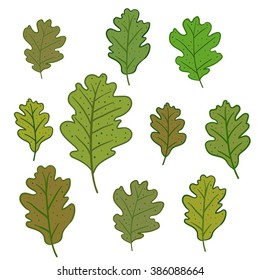 Set of oak leaves isolated on white background. Can be used for wallpaper, pattern fills, greeting cards, webpage backgrounds, wrapping paper or fabric. Vector illustration. EPS 10.