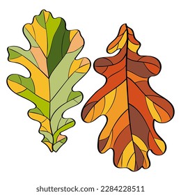 set of oak leaves in the style of application or stained glass, element of decor, design, postcards, poster, wallpaper, postcard, textile, fabric, wrapper, packaging