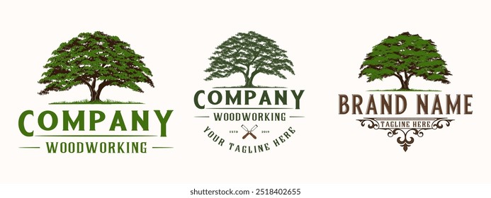 set Oak Tree Leaf Root Family Tree Oak Banyan Maple Stamp Emblem Label vintage style logo design vector