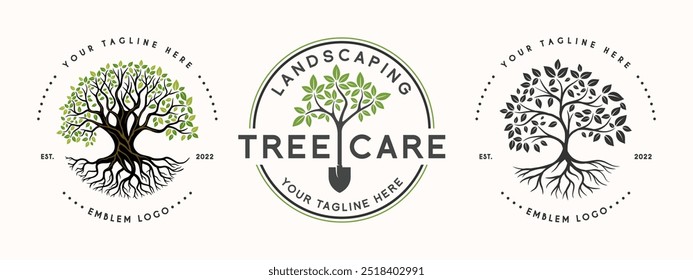 set Oak Tree Leaf Root Family Tree Oak Banyan Maple Stamp Emblem Label vintage style logo design vector