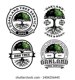 Set Oak Tree and Root logo template