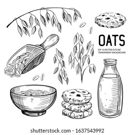 Set of oats objects. Oatmeal, cookies, milk, grains, plant. Vector outline with transparent background