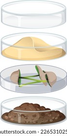 Set of object in petri dish for experiment illustration