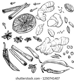 set object spices ginger lemon, background Seamless pattern, Beautiful bud, vector objects, hand drawing