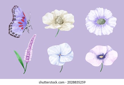 Set of object vector illustration watercolor painting of butterfly and flower