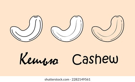 Eine Reihe von Objekten, die ein Cashew mit der Aufschrift "cashew" auf Russisch und Englisch darstellen. Einfache Vektorgrafik, EPS