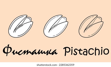 Eine Reihe von Objekten, die ein Pistazien mit der Aufschrift "Pistachio" auf Russisch und Englisch darstellen. Einfache Vektorgrafik, EPS