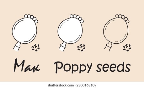 A set of objects depicting a poppy seeds with the inscription "poppy seeds" in Russian and English. Simple vector illustration, eps