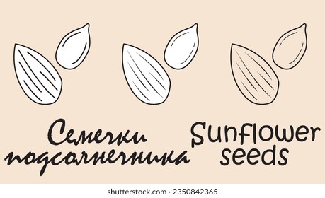 A set of objects depicting a Sunflower seeds with the inscription "Sunflower seeds" in Russian and English. Simple vector illustration, eps