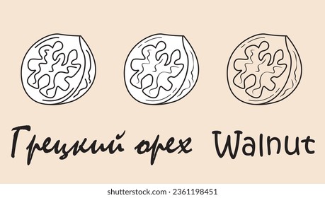 A set of objects depicting a walnut with the inscription "walnut" in Russian and English. Simple vector illustration, eps