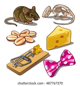 The set of objects on the subject of catching mice. Vector illustration.
