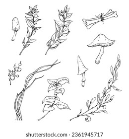 A set of objects and plants for Halloween. Vector illustration.