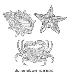 Set of ma?ine objects: seashell, seastar and crab. Adult antistress coloring page. Sketch for tattoo, poster, print, t-shirt in zentangle style. Vector illustration.