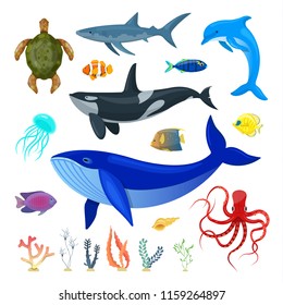 Set of ocean animals on white background.Vector illustration.