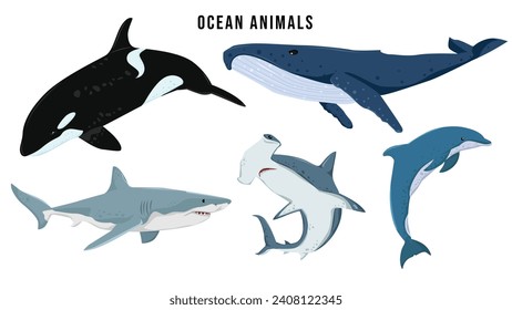 Set of ocean animals. Shark, whale, hammerhead shark, dolphin, orca, wildlife underwater animals vector illustration