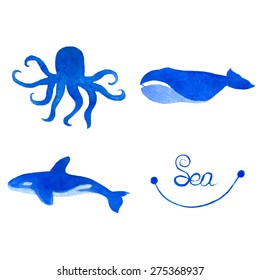 Set of ocean animals. Watercolor vector illustration. Bright design in blue colors. Octopus, grampus and whale. Killer whale. 