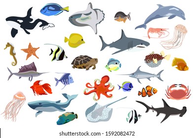 Set of ocean creatures vector. Fish, shark, orca, octopus and other sealife illustration. 