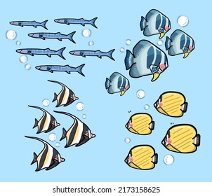 set of ocean school of fish vector, butterfly, nourish, barracuda and platax fish