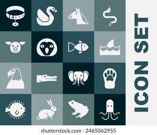 Set Octopus, Paw print, Shark fin ocean wave, Horse head, Owl bird, Pig, Collar with name tag and Fish icon. Vector