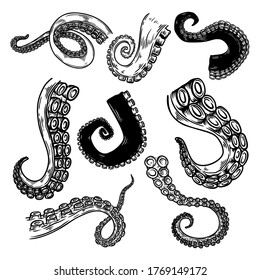 Set of octopus, squid tentacles  in engraving style. Design element for logo, label, emblem, sign, badge. Vector illustration