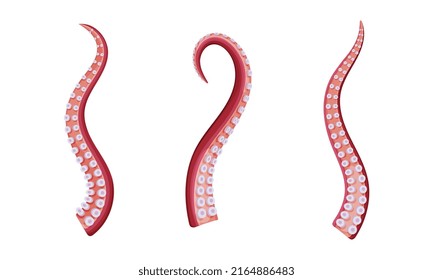 Set of octopus tentacles, underwater marine creature body parts cartoon vector illustration