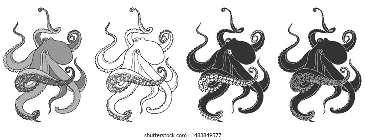 set of octopuses for your design, isolated objects, vector illustration