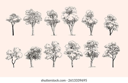 Set od trees line drawing vector illustration. Trees elements outline symbolo for architecture and nature landscape.