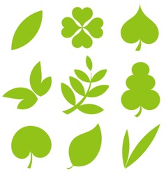 Set od various tree leaves. Vector illustration collection