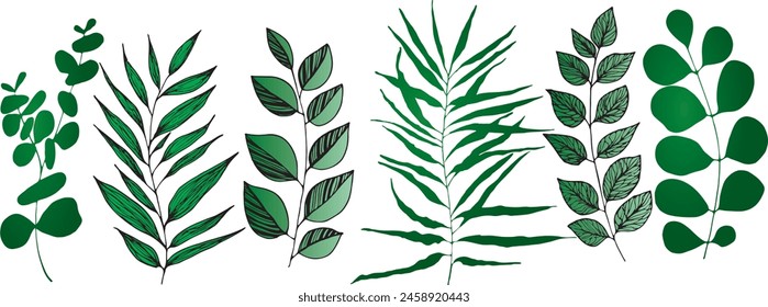 Set od various tree leaves. Vector illustration collection.