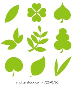 Set od various tree leaves. Vector illustration collection