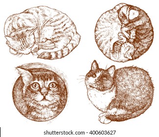Set off cats - hand drawn vector illustration, isolated on white
