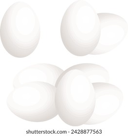 Set off eggs are in different categories illustration