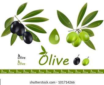 A set off green and black olive branch and an olive oil drop isolated on white a logo.